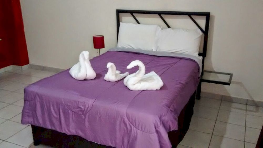 Hotel Plaza Providencia Ixtapa  Esterno foto