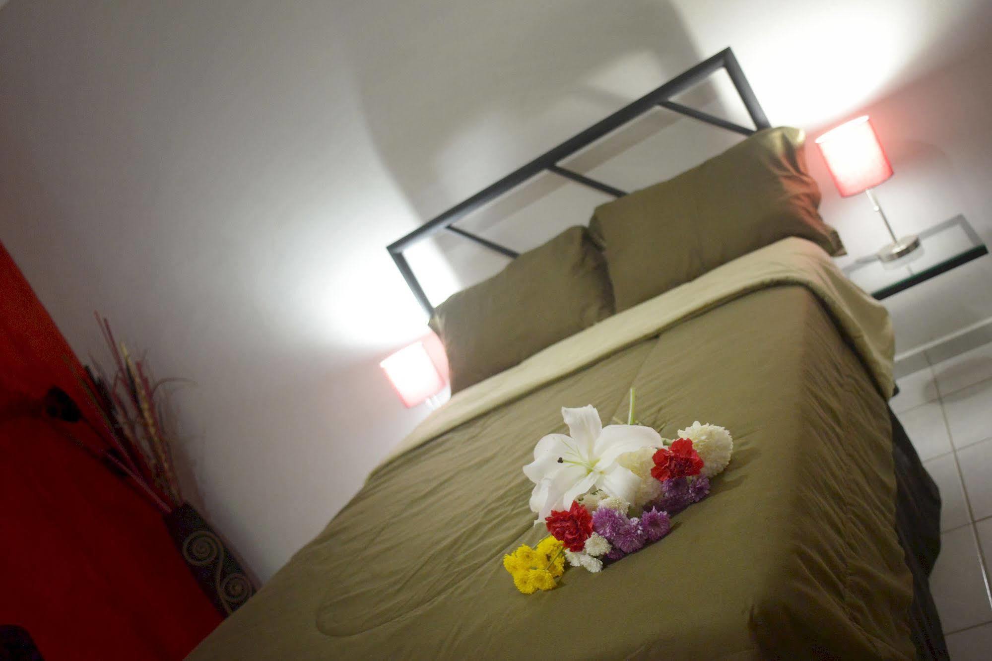 Hotel Plaza Providencia Ixtapa  Esterno foto