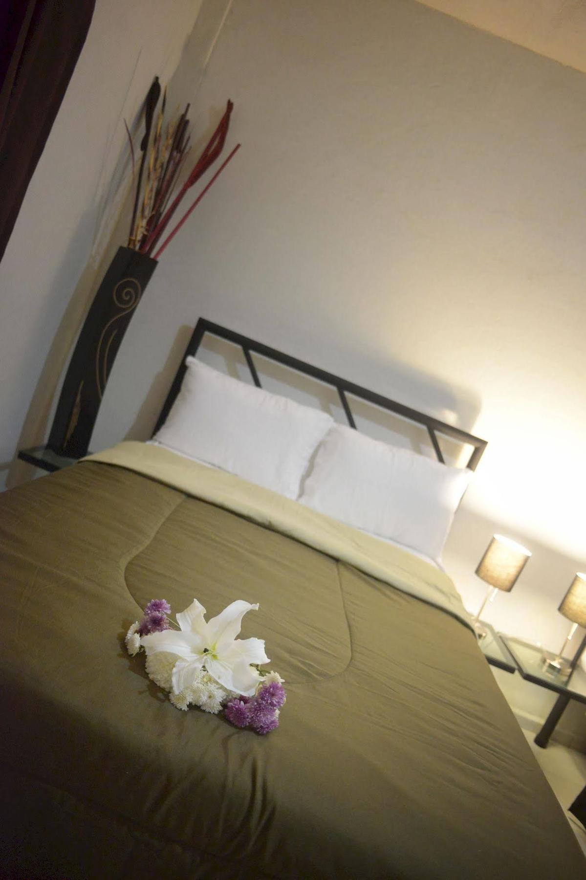 Hotel Plaza Providencia Ixtapa  Esterno foto