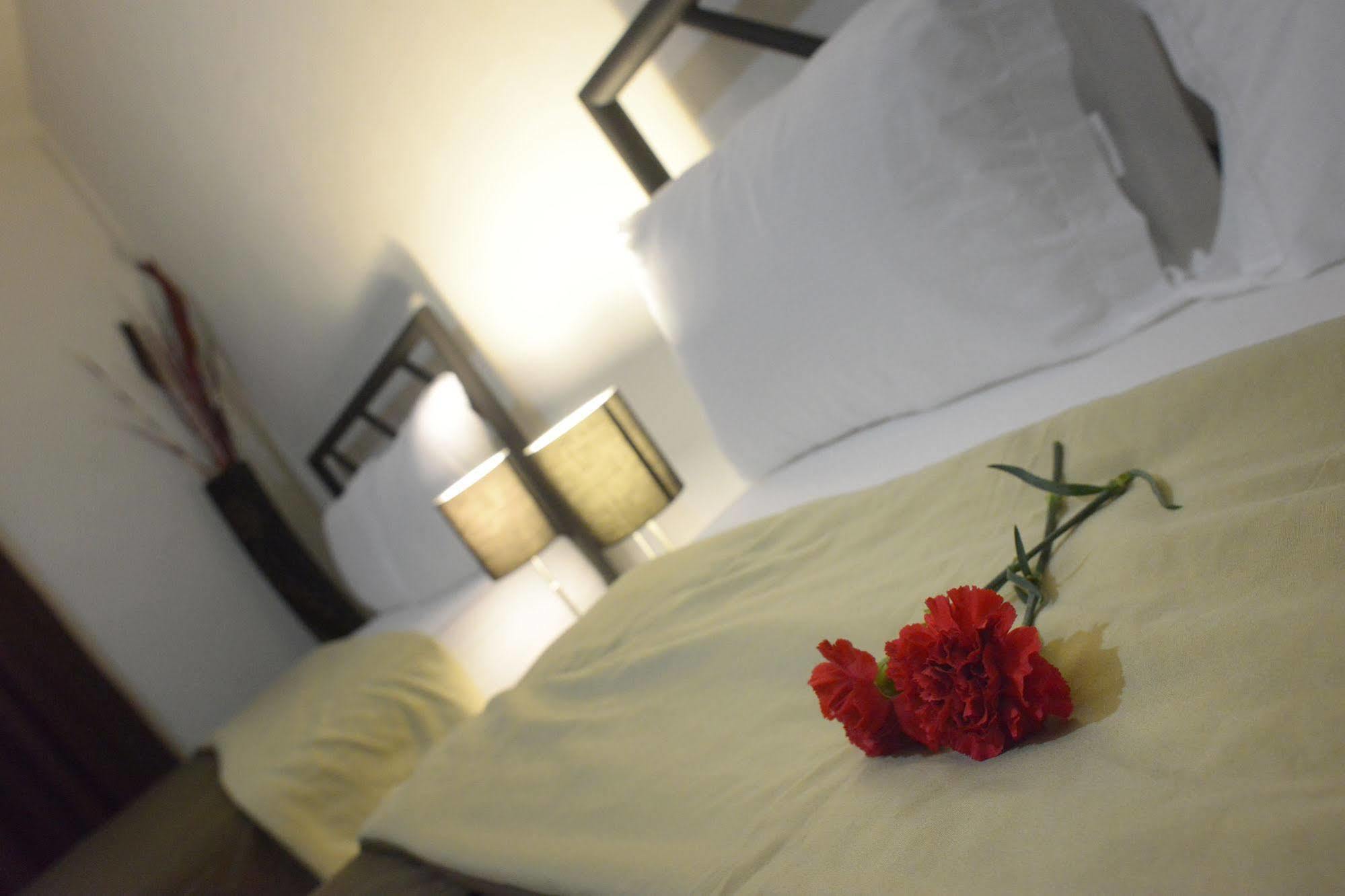 Hotel Plaza Providencia Ixtapa  Esterno foto
